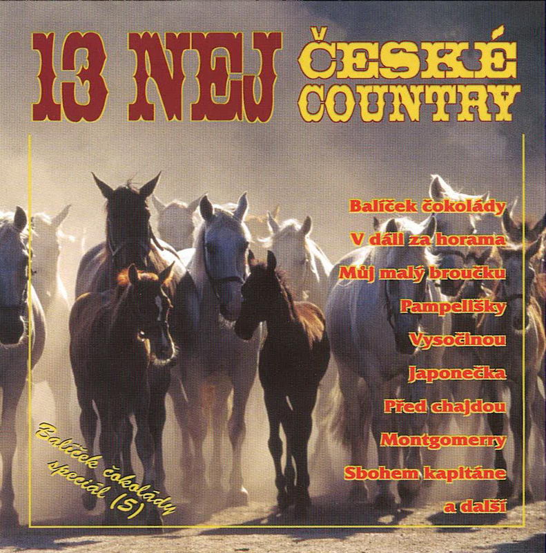 13 NEJ České country - CD